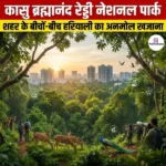कासु ब्रह्मानंद रेड्डी नेशनल पार्क