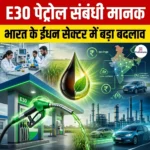 E30 पेट्रोल संबंधी मानक