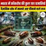 भारत में कॉकरोच की कुल 191 प्रजातियां