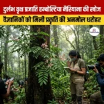 दुर्लभ वृक्ष प्रजाति हम्बोल्टिया नैरियाना की खोज