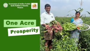 Andhra Pradesh Community Managed Natural Farming