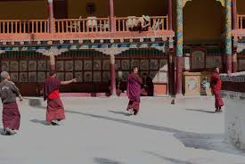 hemis festival ladakh