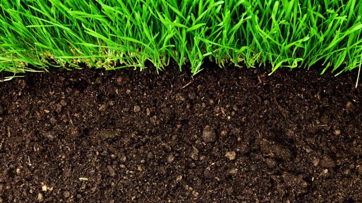 Carbon-rich charcoal biochar