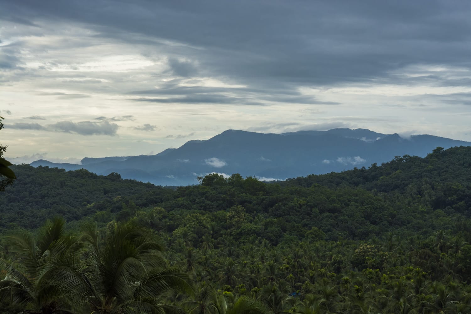 ESE Scheme for Western Ghats Conservation