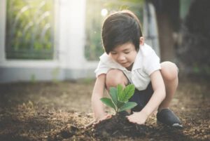 World Environment Day 2026
