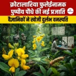 क्रोटालारिया फुलेईनामक नामक पुष्पीय पौधे की नई प्रजाति (New species of flowering plant named Crotalaria phulei)