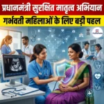 प्रधानमंत्री सुरक्षित मातृत्व अभियान (Pradhan Mantri Surakshit Matritva Abhiyan)