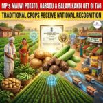 Malwi Potato, Garadu and Balam Kakdi from Madhya Pradesh Get GI Tag