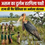 असम का दुर्लभ हरगिला पक्षी