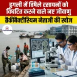 हुगली में विषैले रसायनों को विघटित करने वाले नए जीवाणु, ब्रैकीबैक्टीरियम नेताजी की खोज