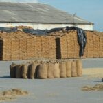 NAFED-NCCF Pulses Procurement