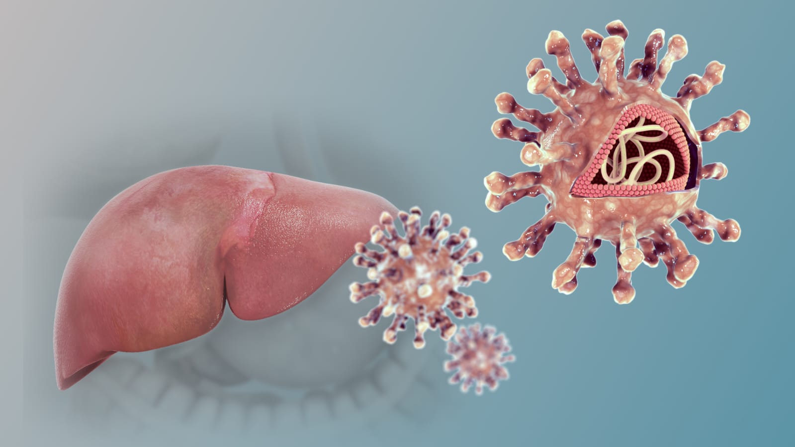 India Hepatitis Elimination