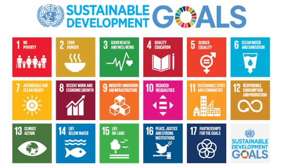 SDG Index 202