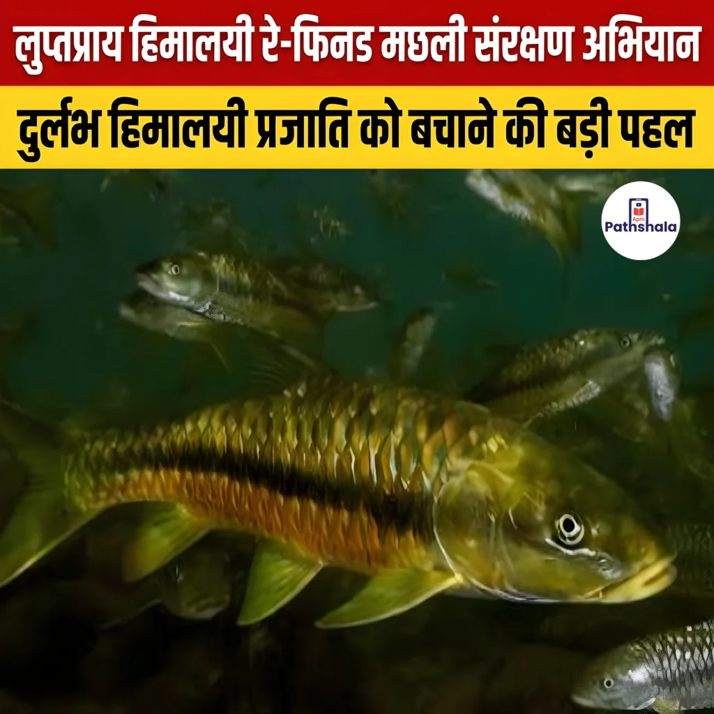 Ray-Finned Fish Conservation