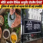 नीति आयोग वैश्विक आयुर्वेद रोड़मैप रिपोर्ट