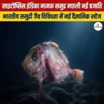 Cytopsis indica नामक समुद्र मछली नई प्रजाति
