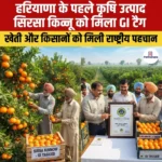 हरियाणा के पहले कृषि उत्पाद सिरसा किन्नू को मिला GI टैग