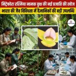 Mitrephora Rashmiae नामक वृक्ष की नई प्रजाति की खोज