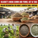 Gujrati Unjha Cumin And Fennel Receive GI Tags