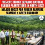 Project INROAD: What is INROAD Expanding Northeast Rubber Plantations?   