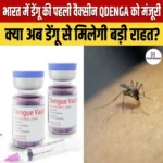 भारत में डेंगू की पहली QDENGA Vaccine को मिली मंजूरी