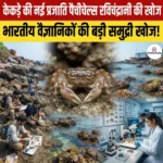 केकड़े की नई प्रजाति पैचीचेल्स रविचंद्रानी (Pachycheles ravichandrani) की खोज