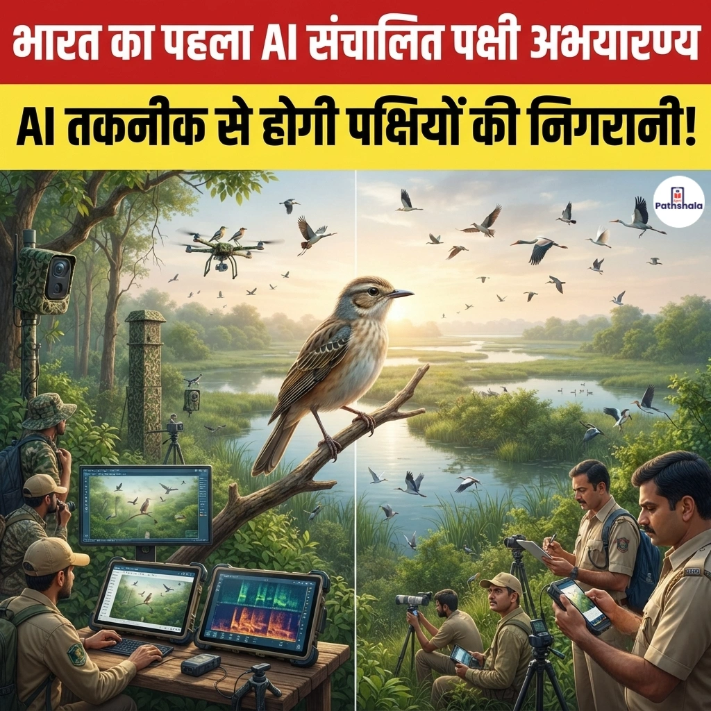 AI Powered Bird Sanctuary
