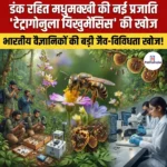 Tetragonula yikhumensis: डंक रहित मधुमक्खी की नई प्रजाति टेट्रागोनुला यिखुमेंसिस की खोज
