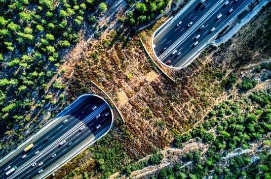 Oman-Saudi Secure Green Land Corridor