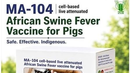 African Swine Fever Vaccine India