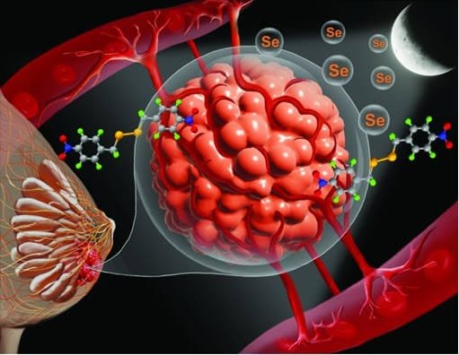 Generative AI in Synthetic Biology
