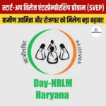 SVEP प्रोग्राम से ग्रामीण क्षेत्रों में गैर-कृषि उद्यमों को मिला बढ़ावा, जानिए इस प्रोग्राम के बारे में