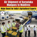 Air Shipment of Karnataka Mangoes to Maldives