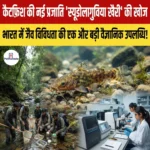 ओडिशा में कैटफ़िश की नई प्रजाति “Pseudolaguvia khairii” की खोज