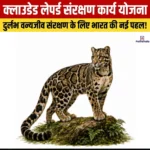 Clouded Leopard Conservation Action Plan- जानिए पूर्वोत्तर भारत में शुरू की गई इस योजना के बारे में