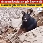 दो दशक बाद दिखा सुभेद्य दुर्लभ ‘Himalayan Serow’