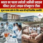 African Swine Fever Vaccine India- भारत का पहला स्वदेशी ASF लाइव एटेन्यूएटर टीका