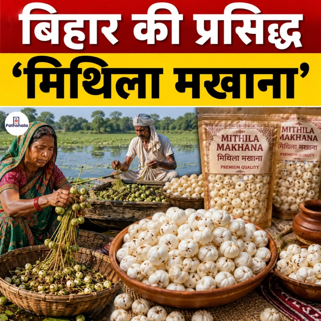 Mithila Makhana