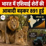 Asiatic Lion Population India- भारत में एशियाई शेरों की आबादी बढ़कर हुई 891