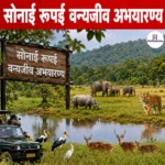 Sonai Rupai Wildlife Sanctuary- स्थिति, क्षेत्रफल, जैव विविधता एवं विशेषताएं 