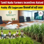 Tamil Nadu Farmers Incentives Raised For Paddy & Sugarcane