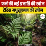 फर्न की नई प्रजाति “Pteris madhusoodananii” की खोज