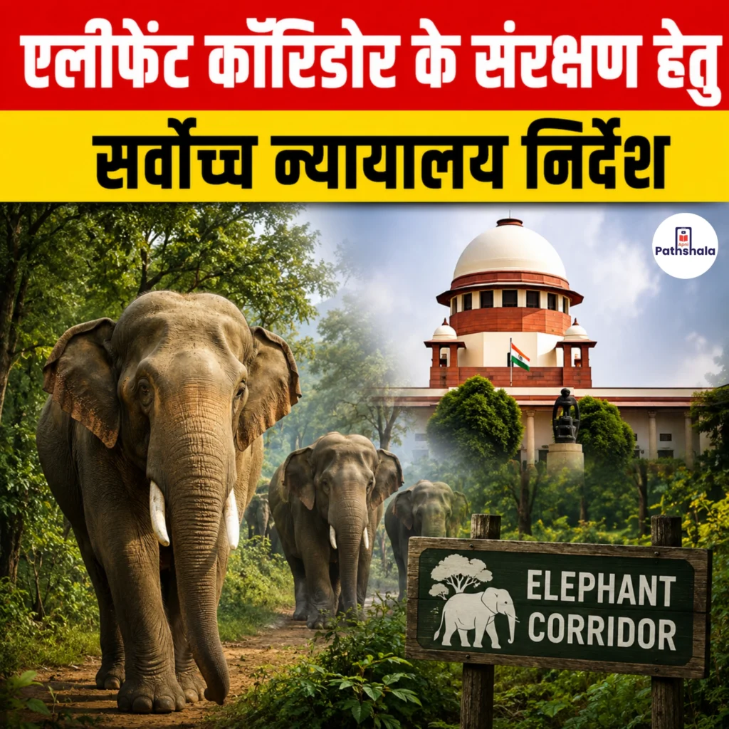 Elephant Corridor Protection