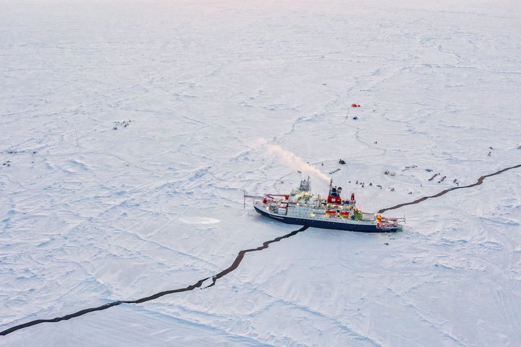 Polar Ambassador