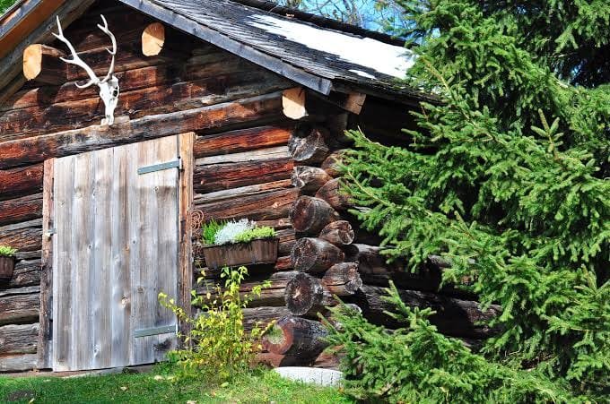 Pine Home Eco Sustainable Project