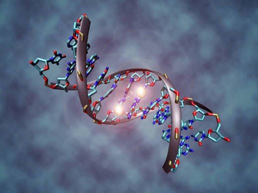 Google AlphaGenome Atlas