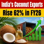 India Coconut Exports FY26 Rose 62% Globally