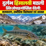 दुर्लभ हिमालयी मछली Schizopygopsis Waddelli: नामकरण, शारीरिक विशेषताएं एवं आवास