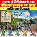 गुजरात में MISHTI Scheme के तहत मैंग्रोव पौधे लगाने का बना रिकॉर्ड, जानिए क्या हैं मायने?