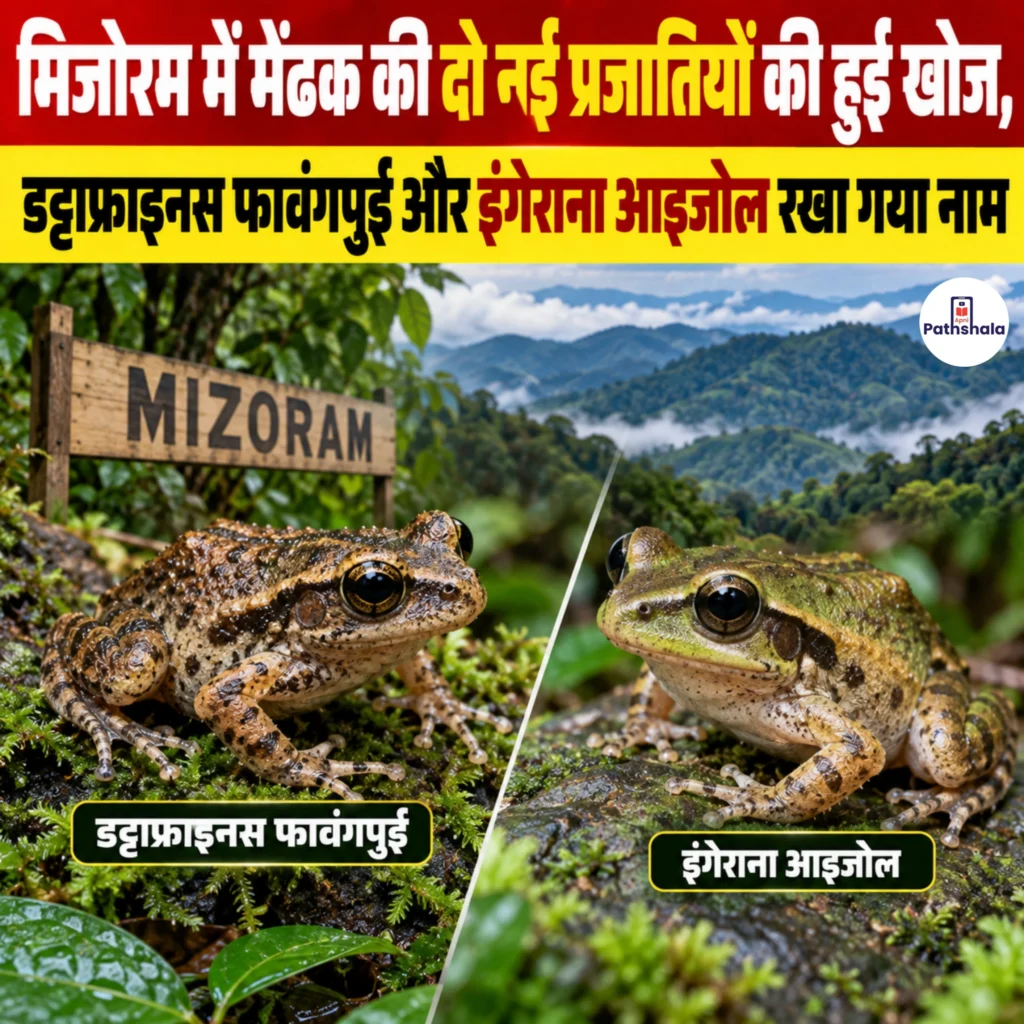 New Frog Species Mizoram 2026
